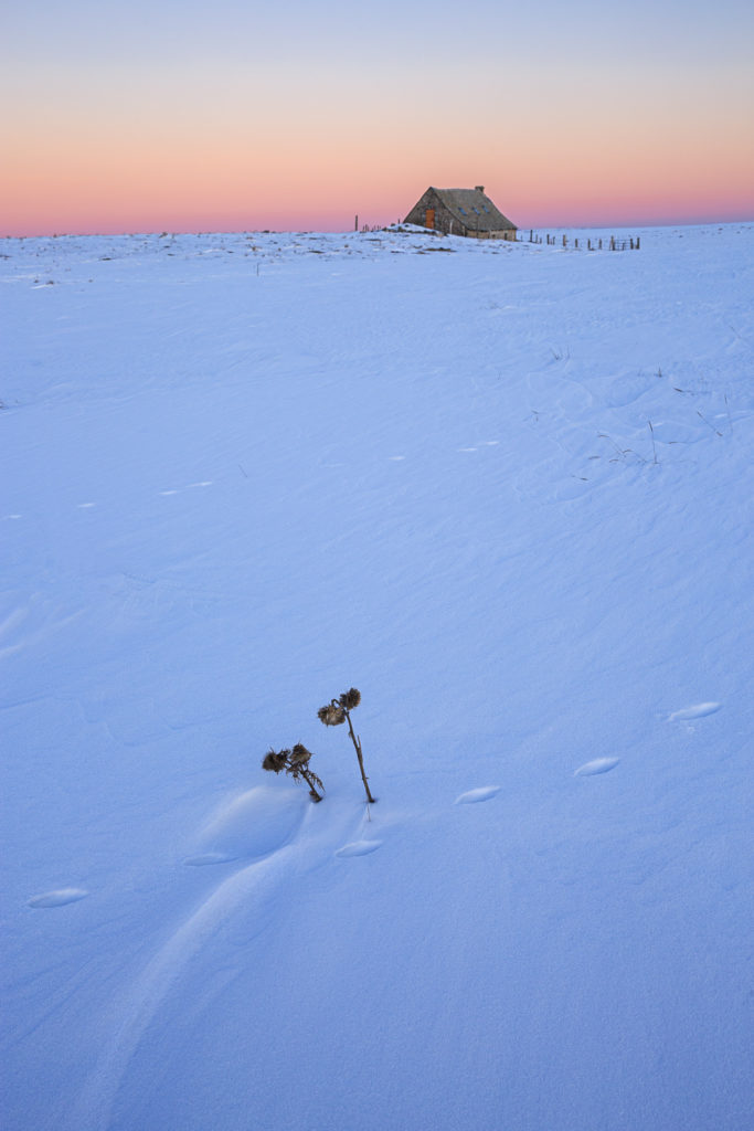 Un oeil sur la Nature | FRANCE – L’Aubrac en parure d’hiver