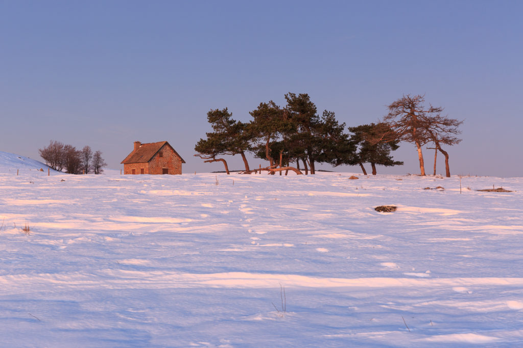 Un oeil sur la Nature | FRANCE – L’Aubrac en parure d’hiver