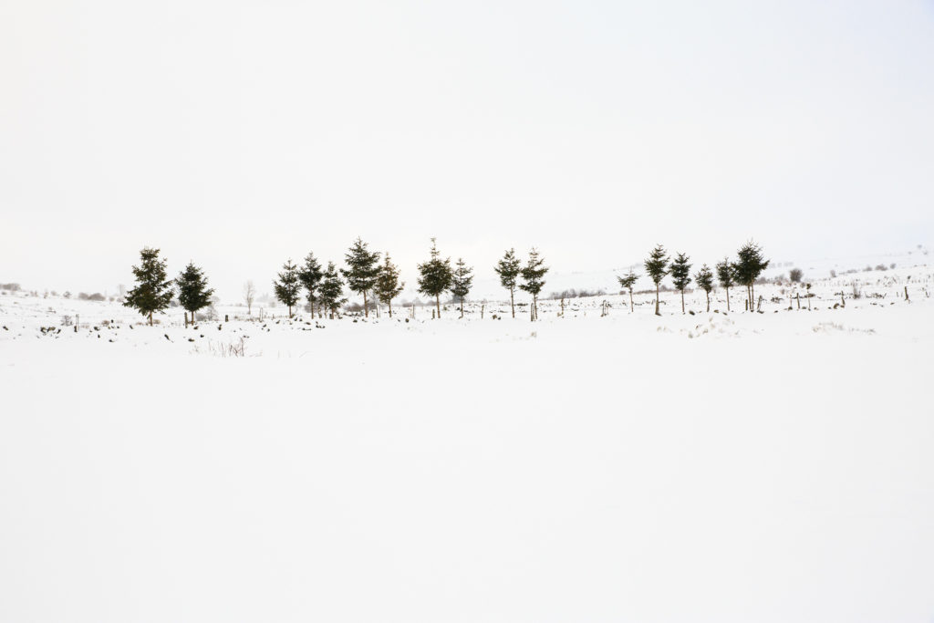 Un oeil sur la Nature | FRANCE – L’Aubrac en parure d’hiver