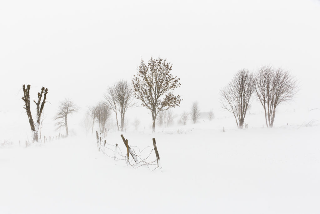 Un oeil sur la Nature | FRANCE – L’Aubrac en parure d’hiver