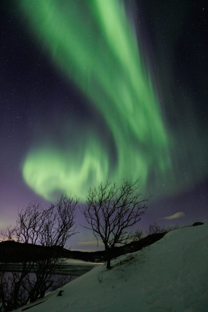 aurore boréales photographiée pendant un voyage photo en Norvège