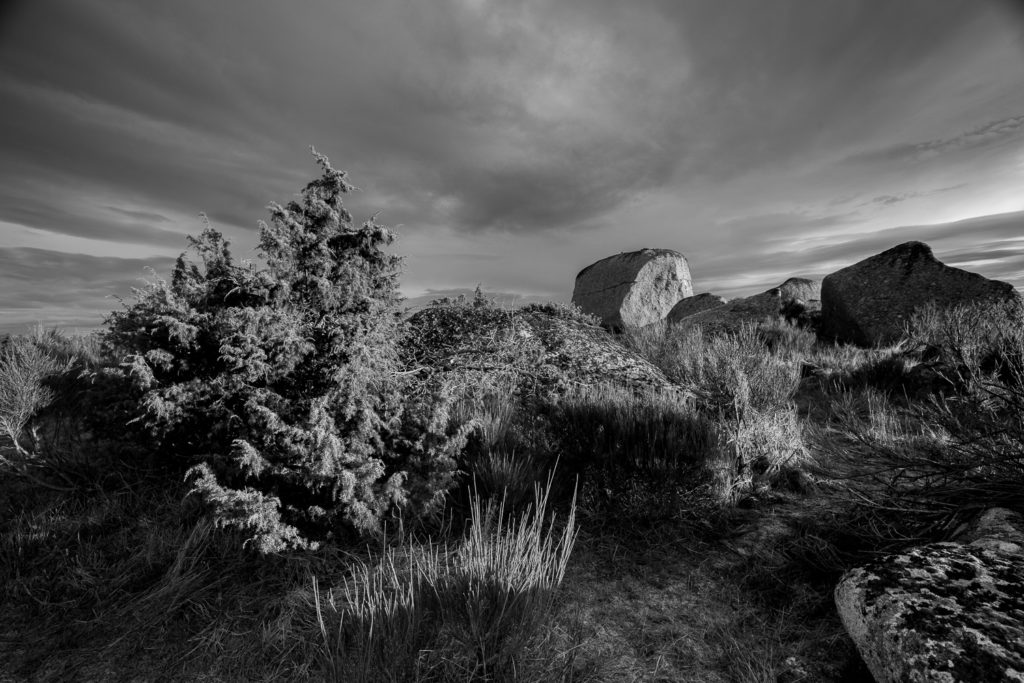 paysage d'Aubrac en noir-et-blanc, stage photo en Aubrac