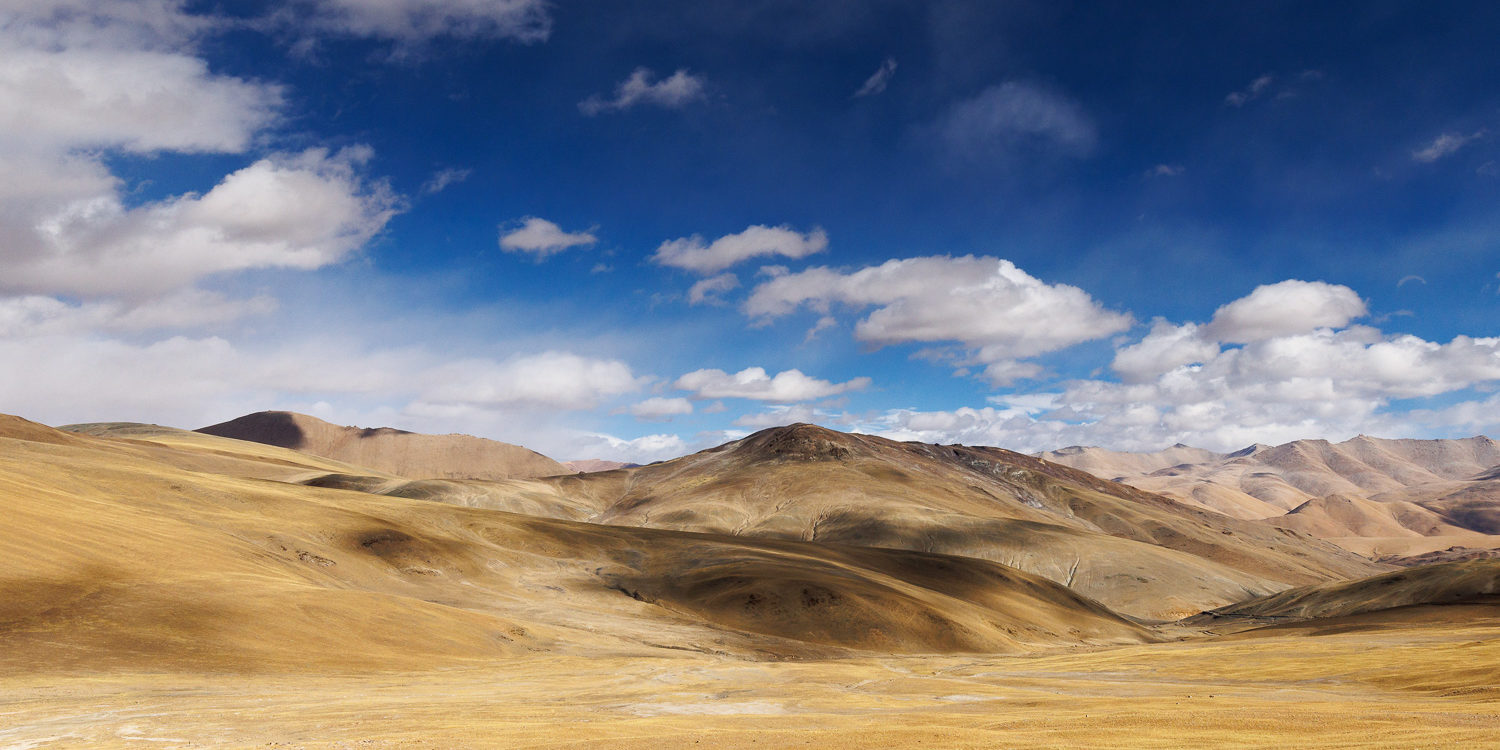 Alpages du Tibet, sur la route du Norbu La, côté indien, en voyage photo au Ladakh
