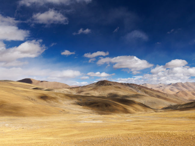Alpages du Tibet, sur la route du Norbu La, côté indien, en voyage photo au Ladakh