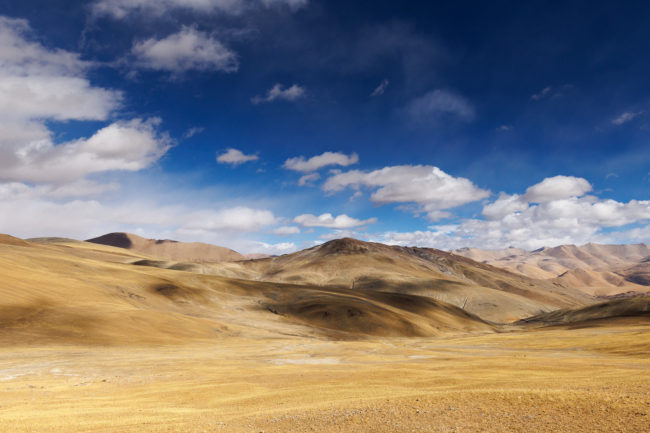 Alpages du Tibet, sur la route du Norbu La, côté indien, en voyage photo au Ladakh