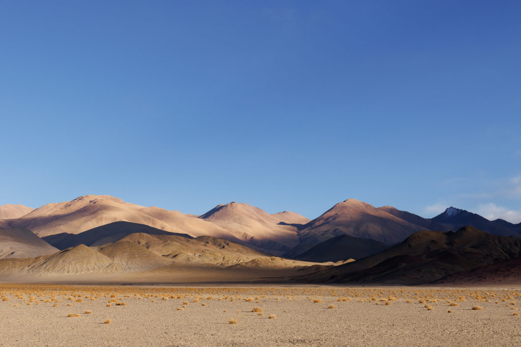 immensité du Chang Tang, durant un voyage photo au Ladakh, dans l'Himalaya indien