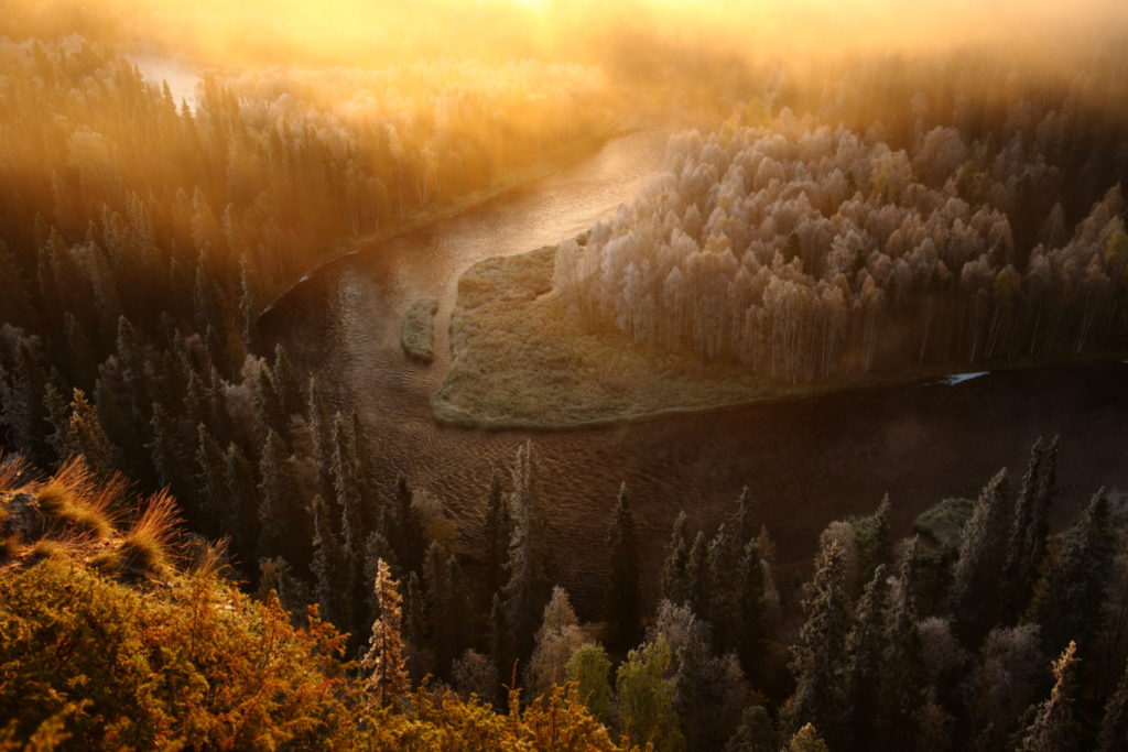 Un oeil sur la Nature | FINLANDE – La Ruska en Laponie