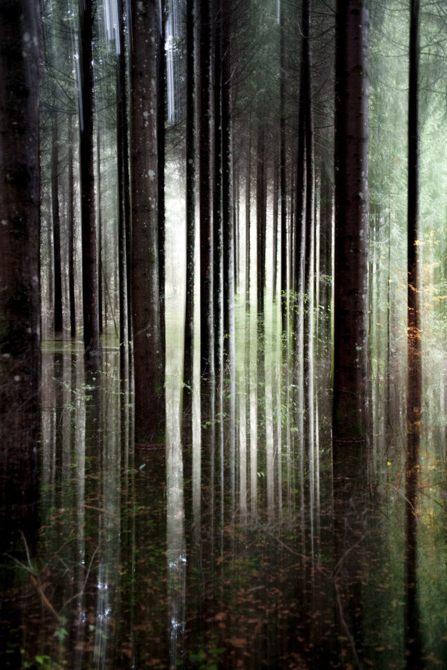 l'eau et reflets, stage photo Un Œil sur la Nature