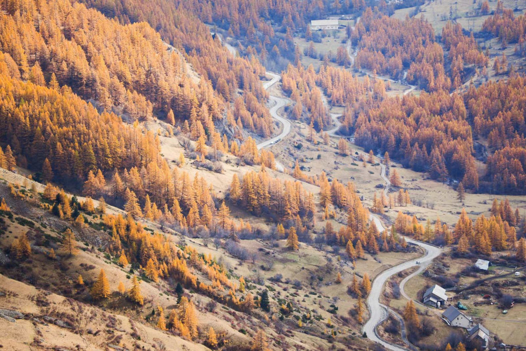 Un oeil sur la Nature | FRANCE – Chouettes et couleurs d’automne