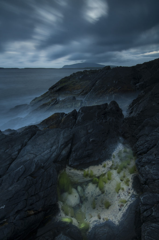 Un oeil sur la Nature | ÎLES SHETLAND –  Oiseaux et paysages marins