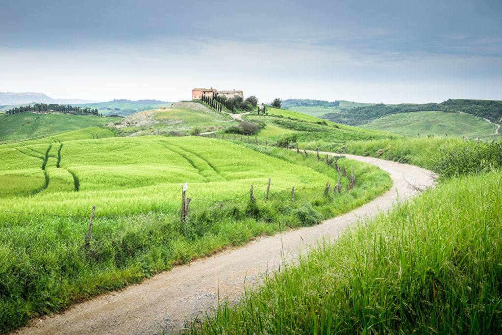 Un oeil sur la Nature | ITALIE – La Toscane au printemps
