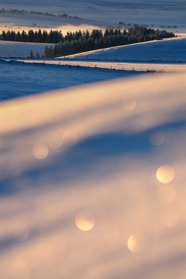stage photo Aubrac en hiver
