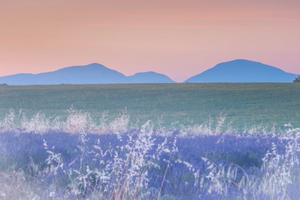 Un oeil sur la Nature | FRANCE – Stage photo en Provence