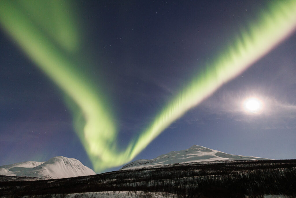 Un oeil sur la Nature | NORVÈGE – Aurores boréales en Laponie