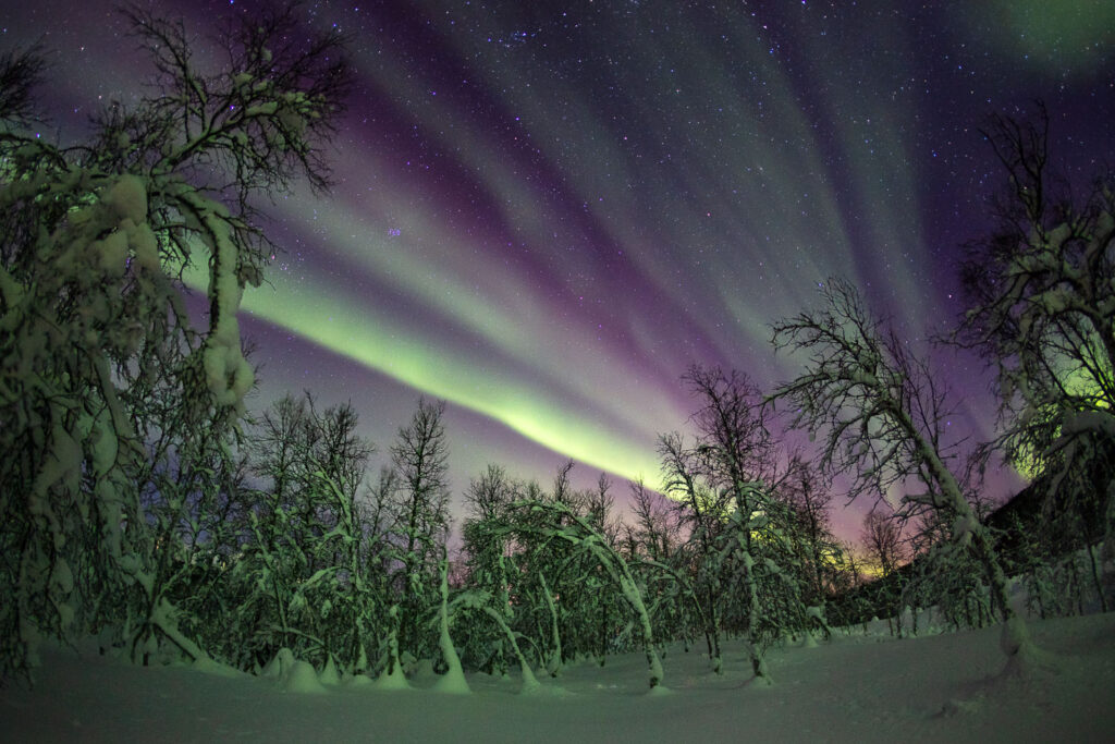 Un oeil sur la Nature | NORVÈGE – Aurores boréales en Laponie