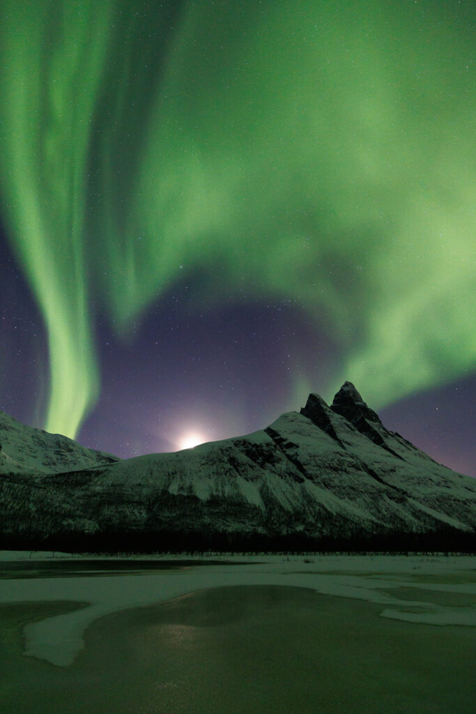 Un oeil sur la Nature | NORVÈGE – Aurores boréales en Laponie