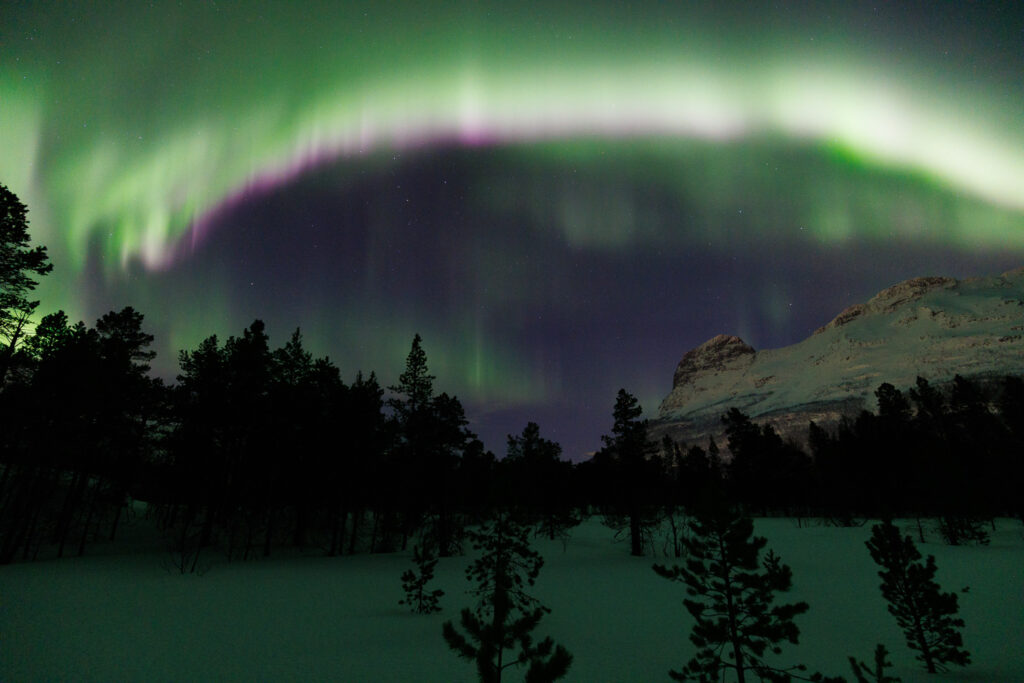 Un oeil sur la Nature | NORVÈGE – Aurores boréales en Laponie