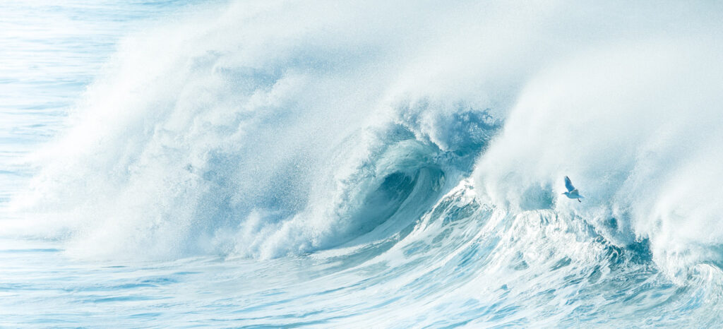Un oeil sur la Nature | FRANCE – Photographier l&rsquo;océan en Bretagne