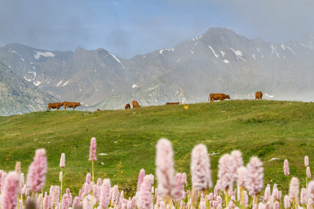Un oeil sur la Nature | FRANCE – De la prise de vue au tirage papier