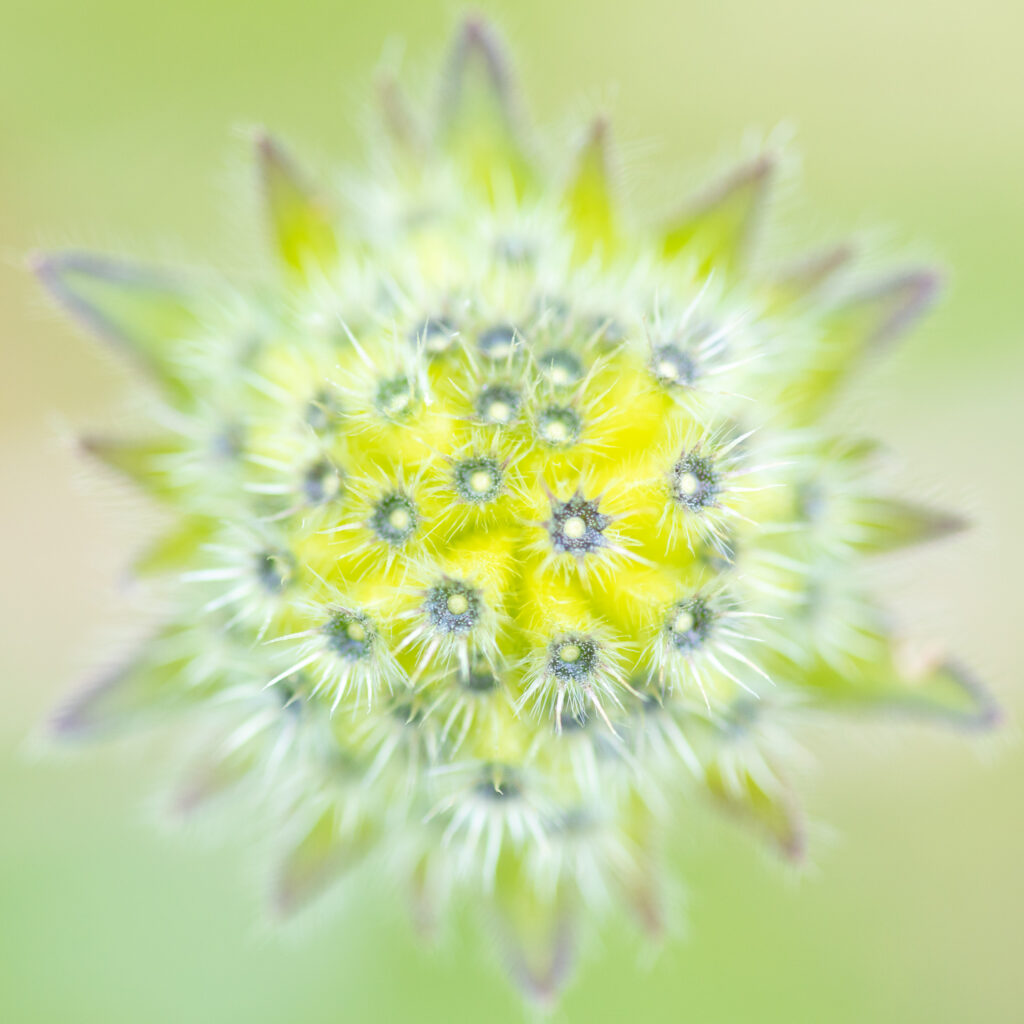 Un oeil sur la Nature | FRANCE – De la prise de vue au tirage papier