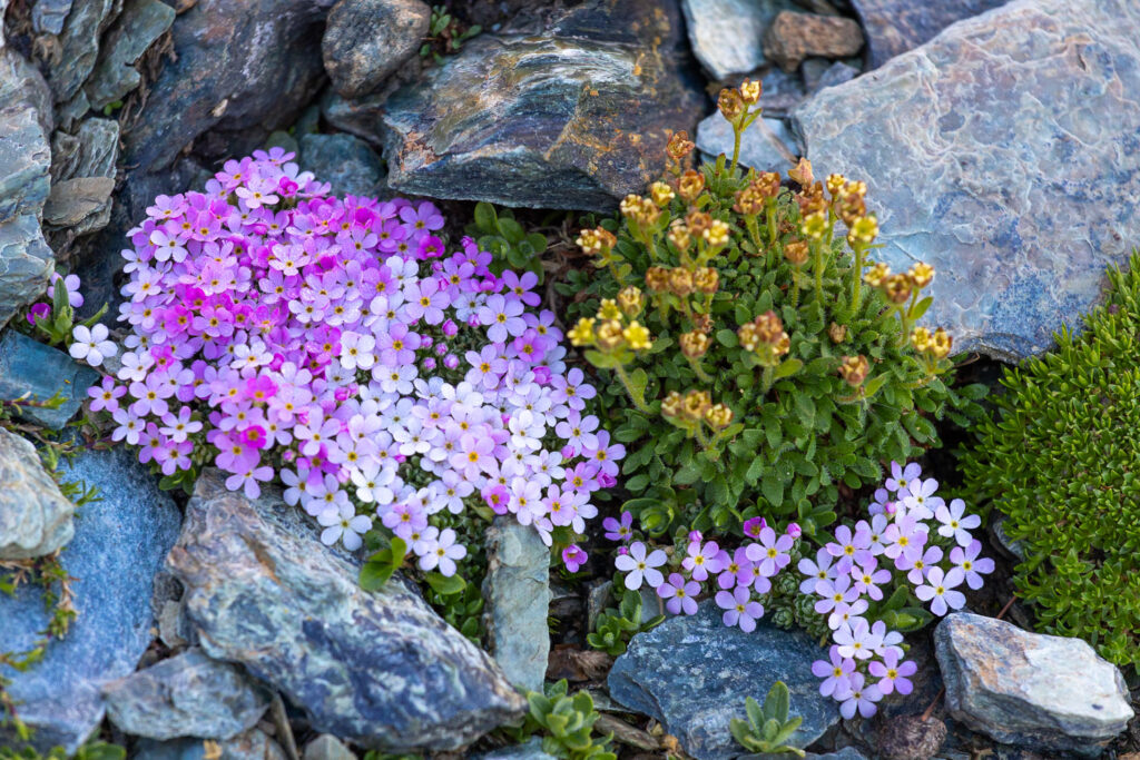 Un oeil sur la Nature | FRANCE – De la prise de vue au tirage papier