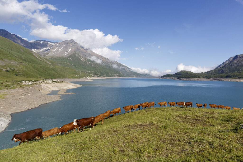 Un oeil sur la Nature | FRANCE – De la prise de vue au tirage papier