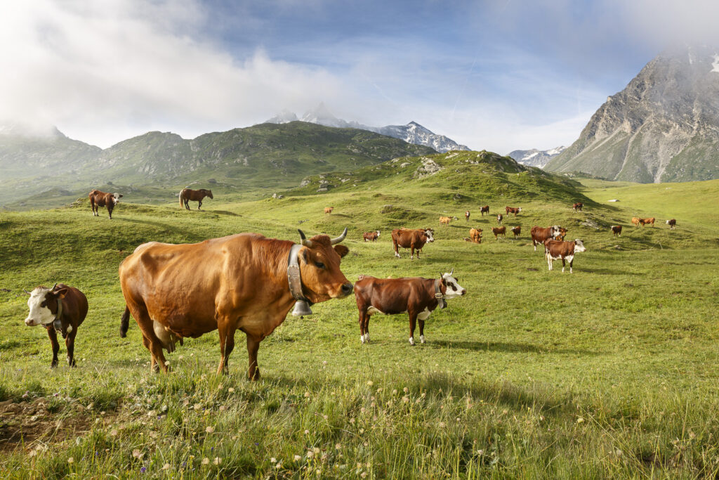 Un oeil sur la Nature | FRANCE – De la prise de vue au tirage papier