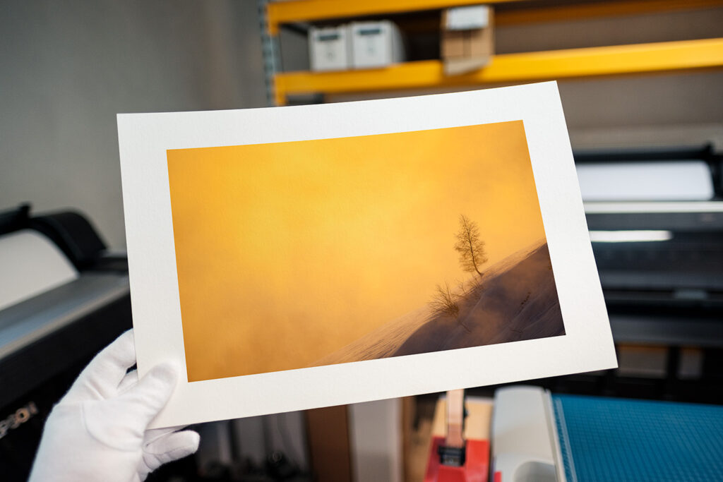 Un oeil sur la Nature | FRANCE – De la prise de vue au tirage papier