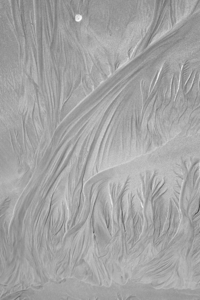 Un oeil sur la Nature | FRANCE – Créativité et projets photo