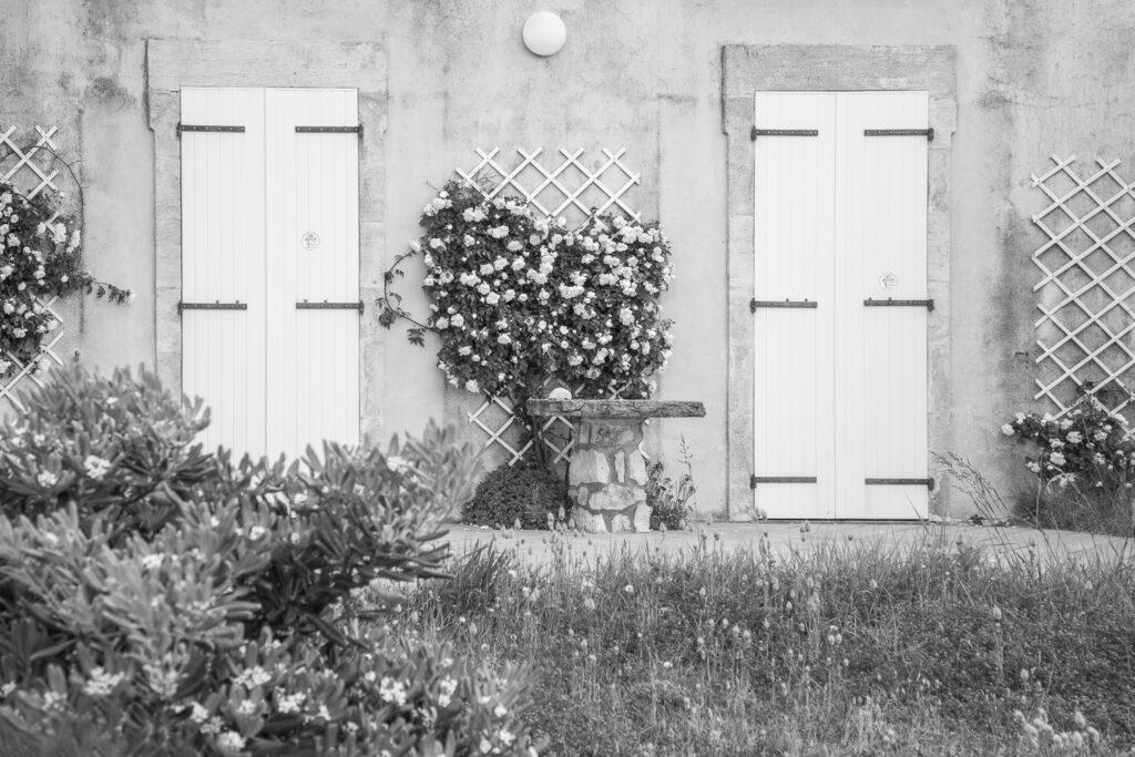 Un oeil sur la Nature | FRANCE – Créativité et projets photo