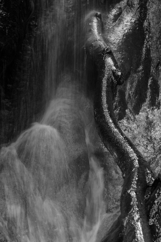Un oeil sur la Nature | FRANCE – Ambiances aquatiques du Bugey Sud