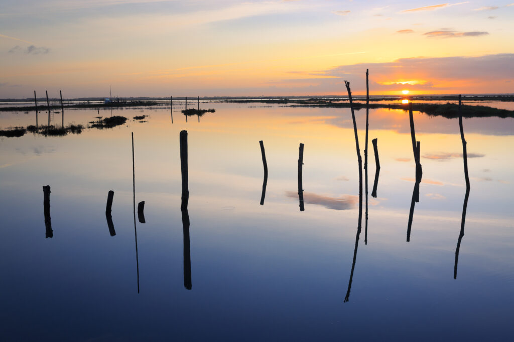 Un oeil sur la Nature | FRANCE – Charente maritime, île d’Oléron