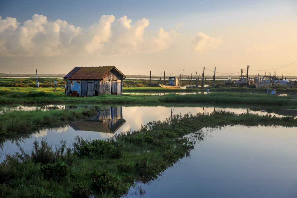 Un oeil sur la Nature | FRANCE – Charente maritime, île d’Oléron