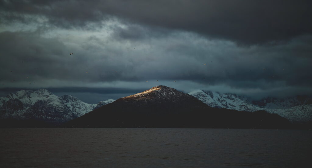 Un oeil sur la Nature | NORVÈGE – Orques en voilier