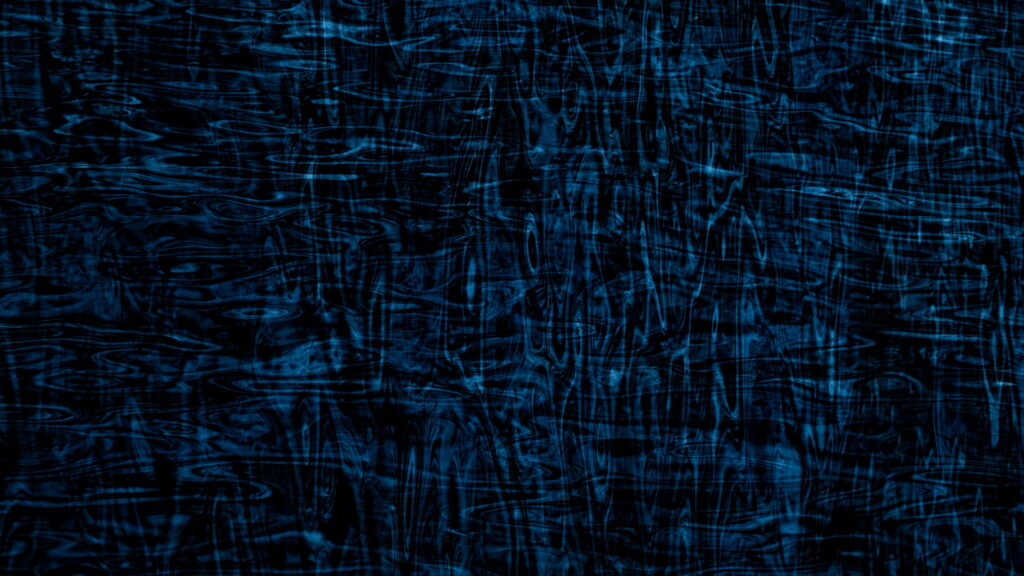 Un oeil sur la Nature | NORVÈGE – Orques en voilier