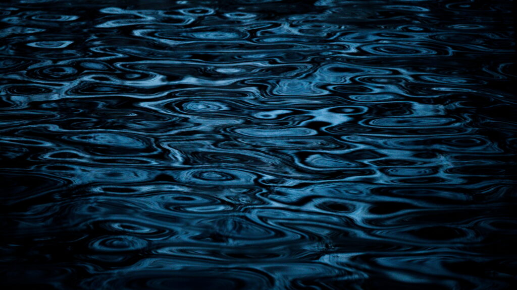 Un oeil sur la Nature | NORVÈGE – Orques en voilier