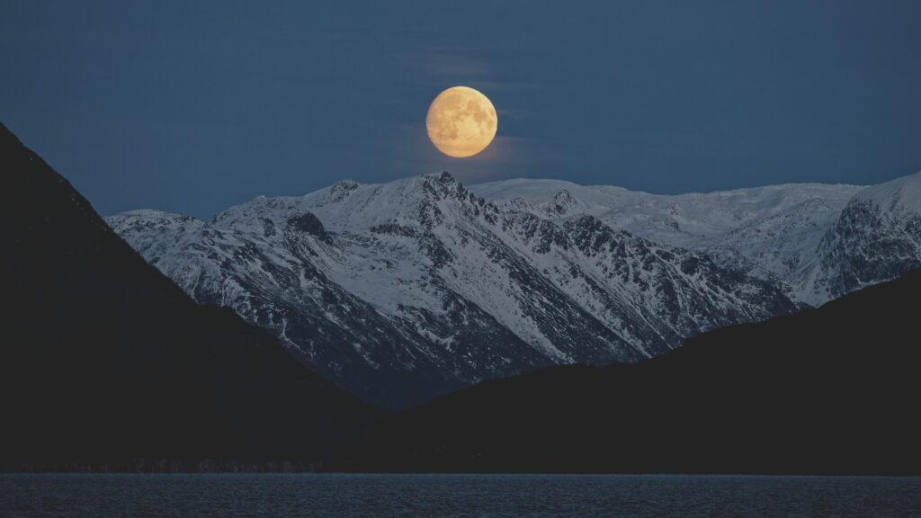 Un oeil sur la Nature | NORVÈGE – Orques en voilier