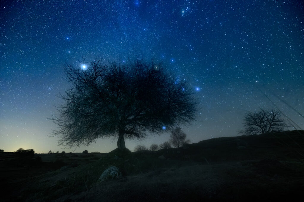 Un oeil sur la Nature | FRANCE – Paysages nocturnes de La Margeride et de l&rsquo;Aubrac